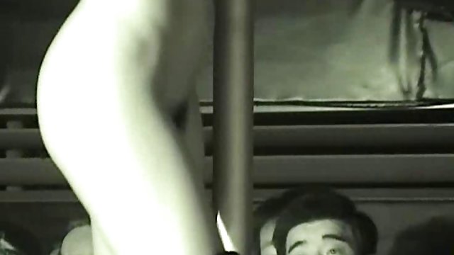 جوجه جوان به مشت زدن ولماسکسی علاقه دارد و روی هر چهار پا ایستاده است